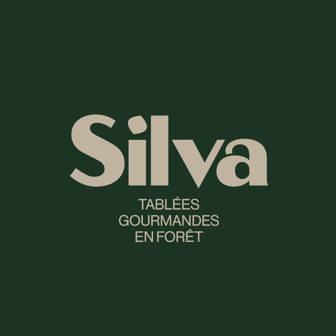 noly-design-branding-projects